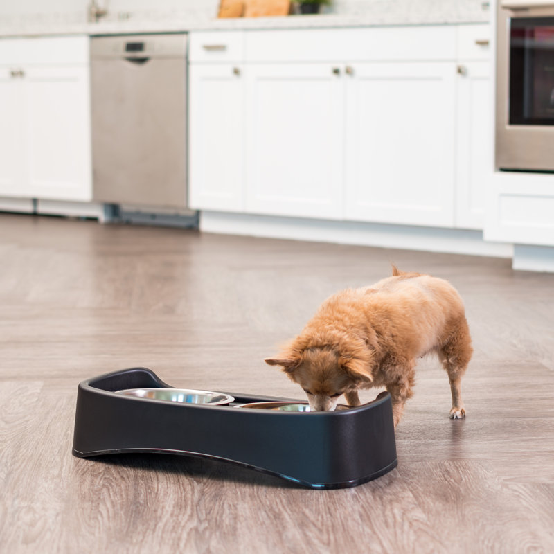 Black Adjustable Elevated Feeder with Stainless Steel Bowls