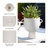 White Ceramic Vase with Handles-1183885162