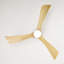 Ventilateur de plafond 52 po avec lumières