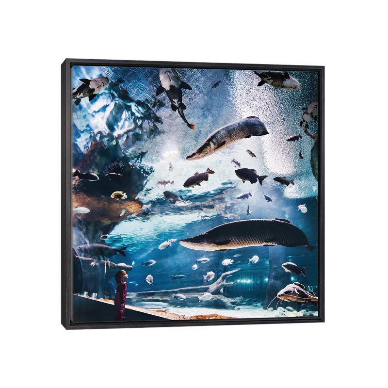 «Lost World» par Hobopeeba - reproduction, Pas de tapis, H 26 po x l 26 po x P 1,5 po, Toile encadrée noir délavé