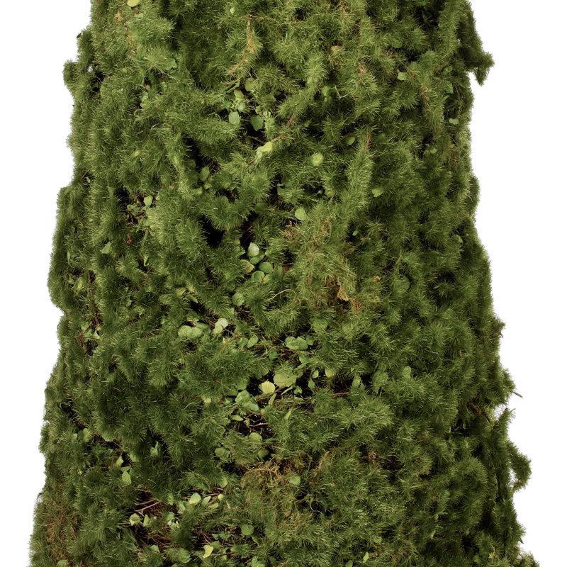 Roanoke 24'' Faux Moss Topiary