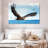 Eagle In Flight-70241517