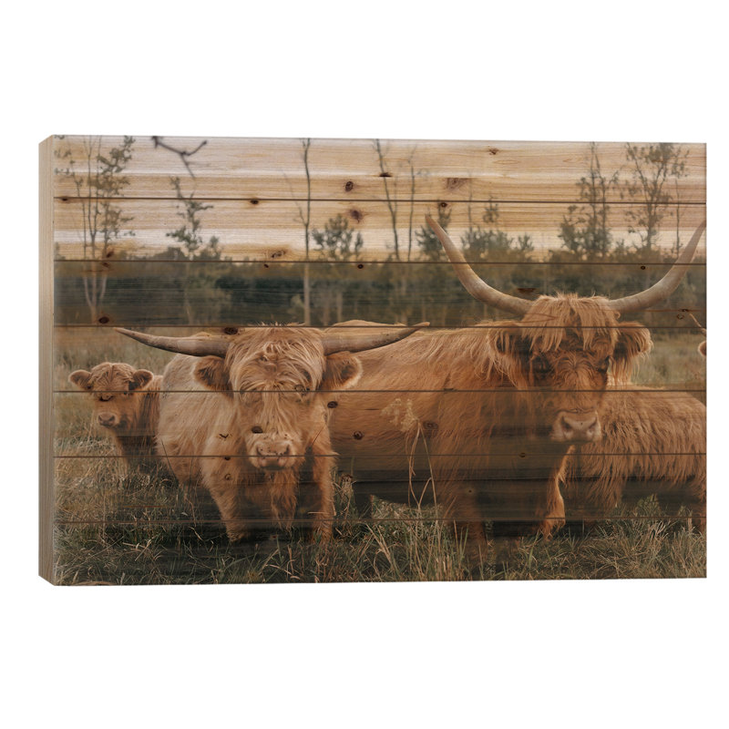 Highland Cow Herd par - Sans cadre sur bois