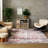 Rokeisha Washable Oriental Indoor Rug-1513079910