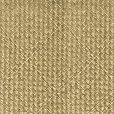 Kravet Design - W3981-4