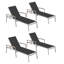 Travira Outdoor Chaise Lounge-1919204427-1919204423-1919204431