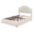 Beige est en rupture de stock