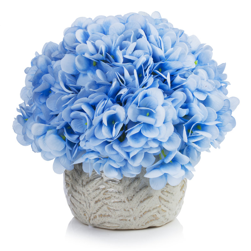 Arrangement floral d'hortensias en pot, Bleu