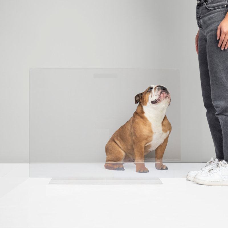 Low Clear Pet Gate Panel, 36” W x 24” H