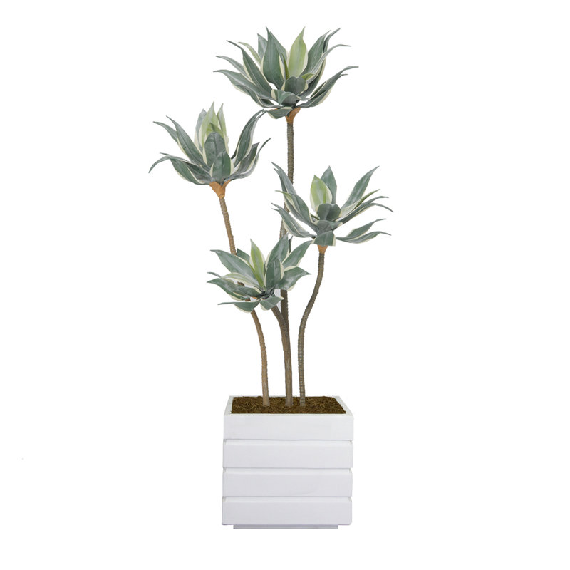 56'' Faux Agave Tree in Pot, White