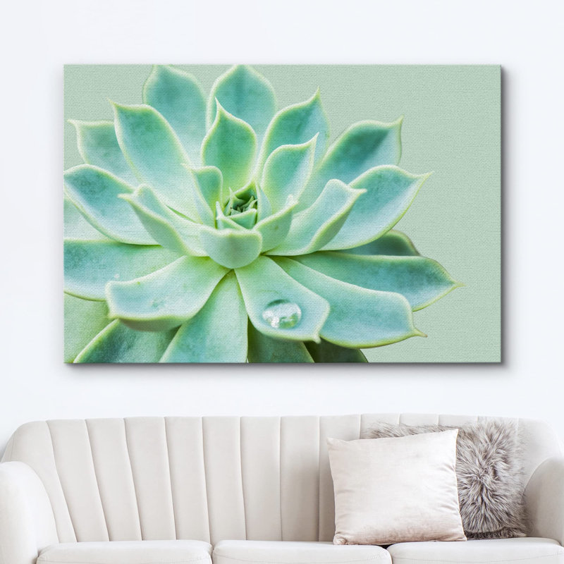 "Plante grasse avec goutte d'eau" sur toile, H 32 po x l 48 po