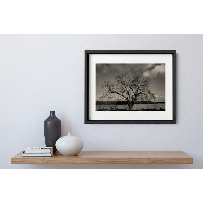 Baum Im Winter Print by Joseph Regan, 14" H x 16" W x 0.75" D, Black
