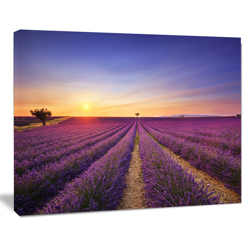 Champ de lavande en Provence, reproduction de photo sur toile tendue, H 30 po x l 40 po x P 1 po