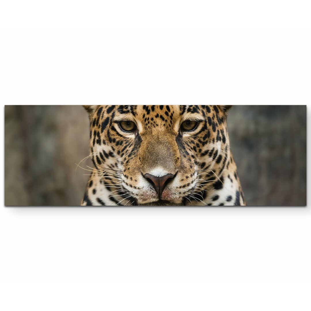 Leinwandbild Portrait eines Jaguar