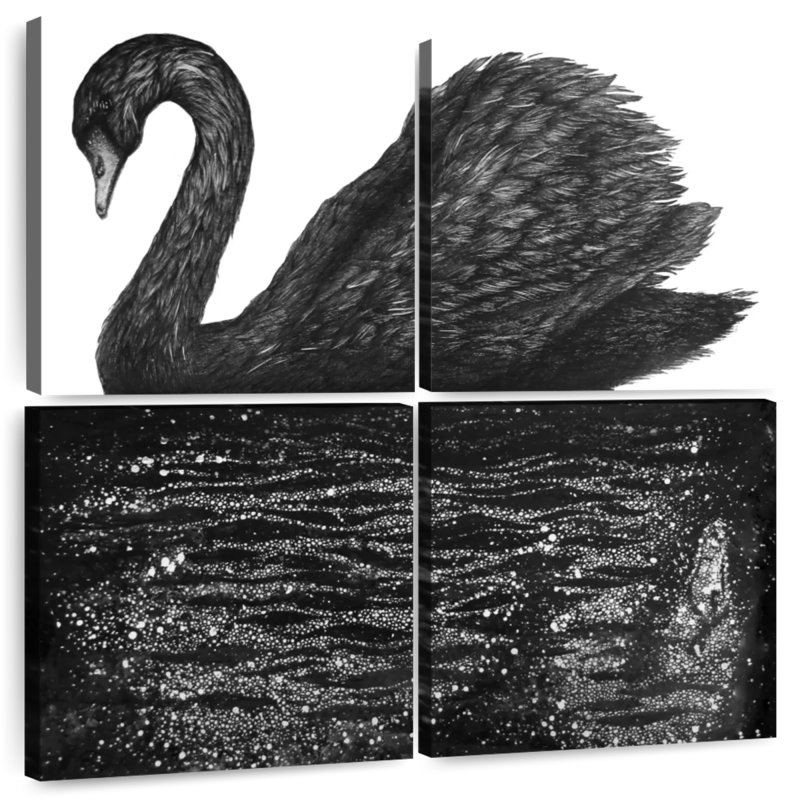 Brampt Black Swan Reflection, 18'' H x 18'' W