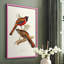 Impression encadrée Elegant Trogons IV - bois massif-1341469346-1341469343