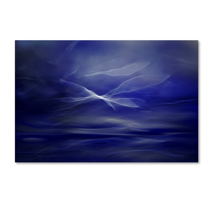 « flight of the fairs », reproduction d’impression sur toile tendue, 16 po x 24 po