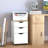 Bretagne 13.5'' Wide 3 - Drawer Filing Storage Cabinet
