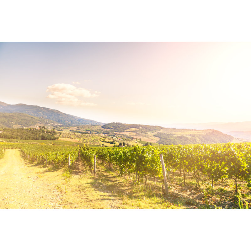 Chianti Vineyard - Wrapped Canvas Print, 51cm H x 76cm W x 3.8cm D