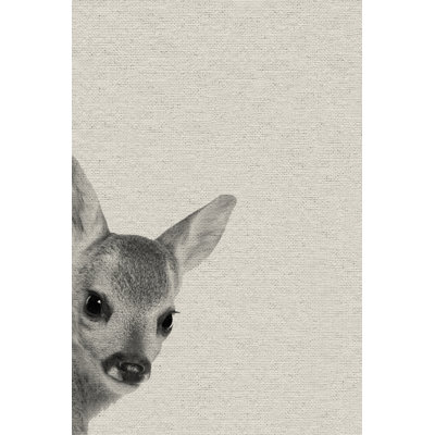 Fawn Surprise - Drawing on Canvas
