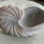 Customer photo 3 of 3