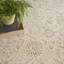 Classic Ivory Area Rug-1510569765