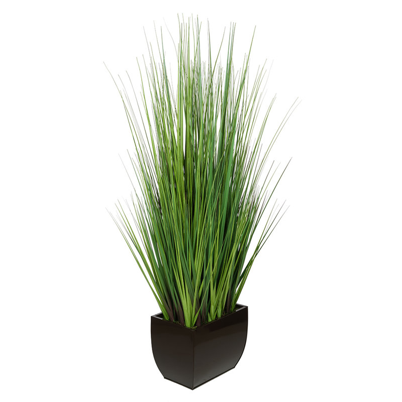 Herbe à feuillage en pot 50 po, Brun brillant
