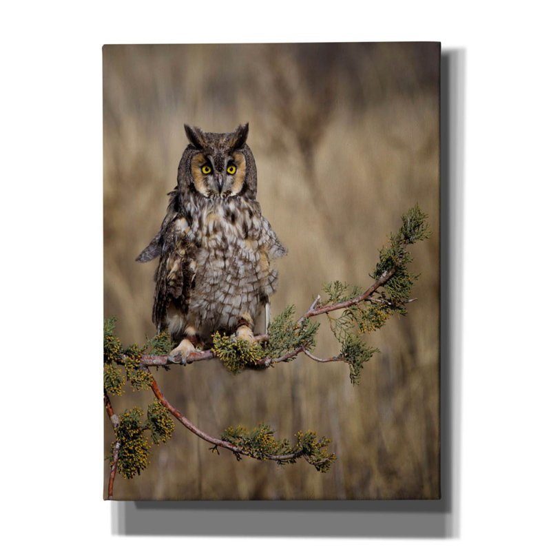 Sur toile, H 54 po x l 40 po x P 1,5 po