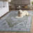 Czarnetzki Performance Machine Washable Oriental Rug-49089132