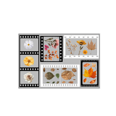 Vintage Film Flower Maple Leaf Multi Combination Window Sticker Reusable Window Decals For Home Window Glass Decor