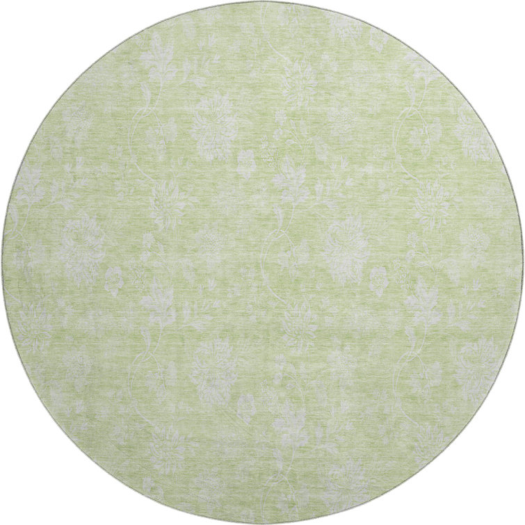 Premium Machine Washable Prisco Aloe Rug