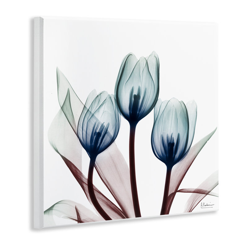 Chic Blue Translucent Tulips Wall Plaque, design by Albert Koetsier
