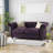Loveseat Sofa