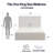 Lucas Tall Headboard Upholstered Bed / 52" High Headboard / Elegant Simplicity / No Box Spring Needed / Easy Assembly / King / Textured Ivory Canvas