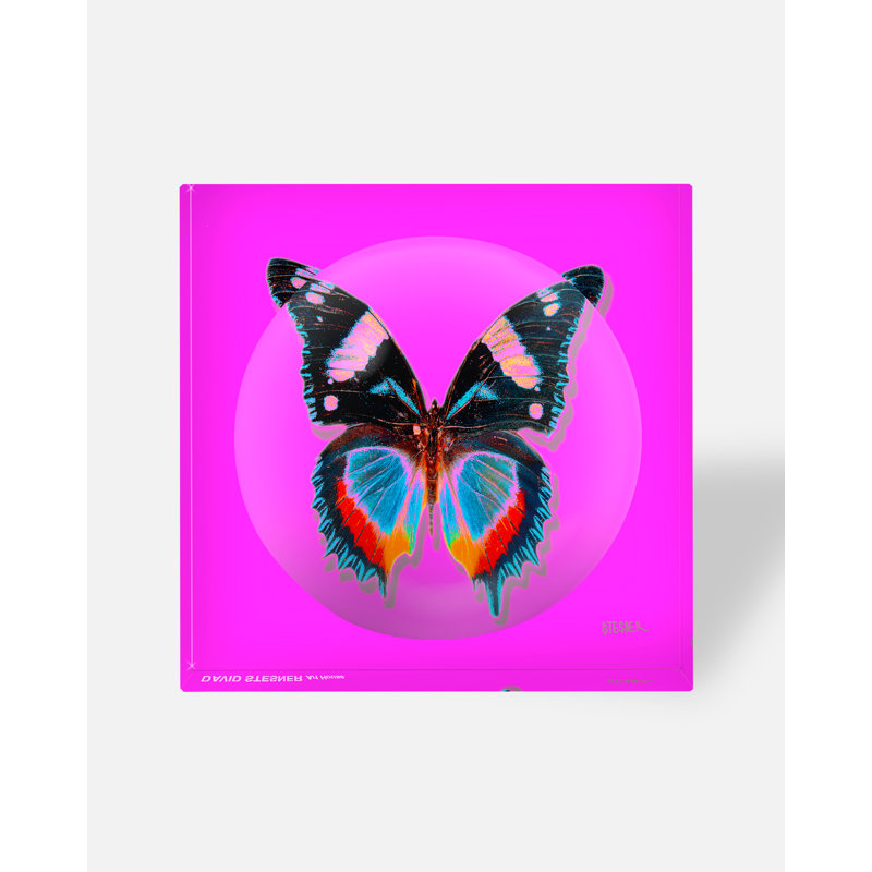 Pink Flutter