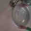 Photos des clients 1 de 2