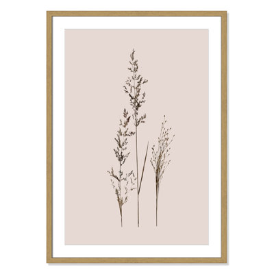 Delicate Stems I by Carol Robinson - Single Picture Frame Print -  Birch Lane™, A09829BAB8134FDB9D9258BB6E6DFAFC