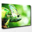 Chameleon Lizard Photographic - Wrapped Canvas-19091688