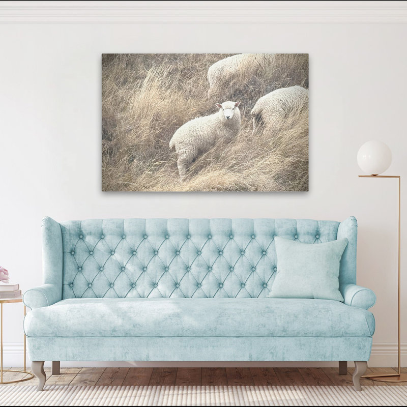 Sheep and Nature Highland Grace Art, H 40 po x l 60 po