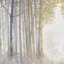 "Forest Forest", art mural - Toiles texturées et accessoires de montage 3 avec texture suspendue