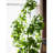 22'' Faux Banyan Tree Tree