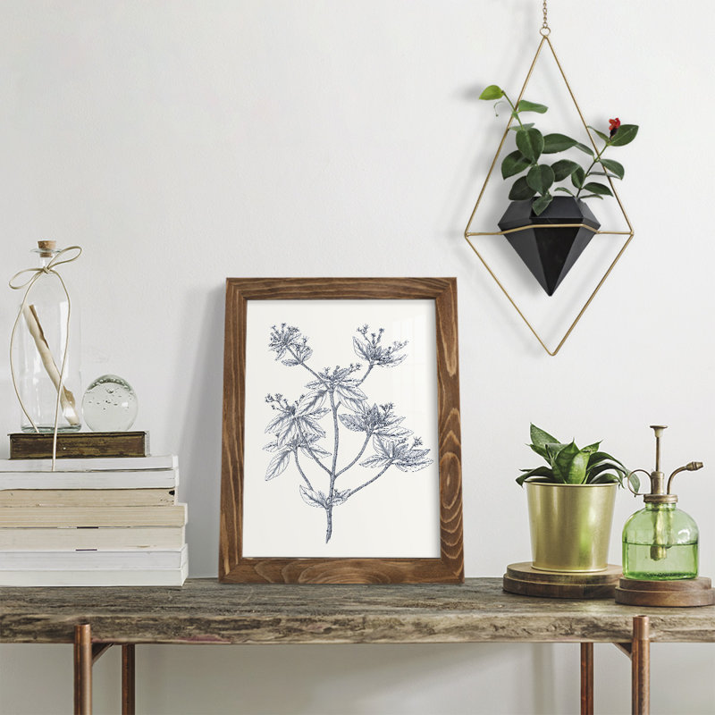 Indigo Botany Study III - reproduction de cadre photo simple, H 11 po x l 9 po x P 1 po, Noyer