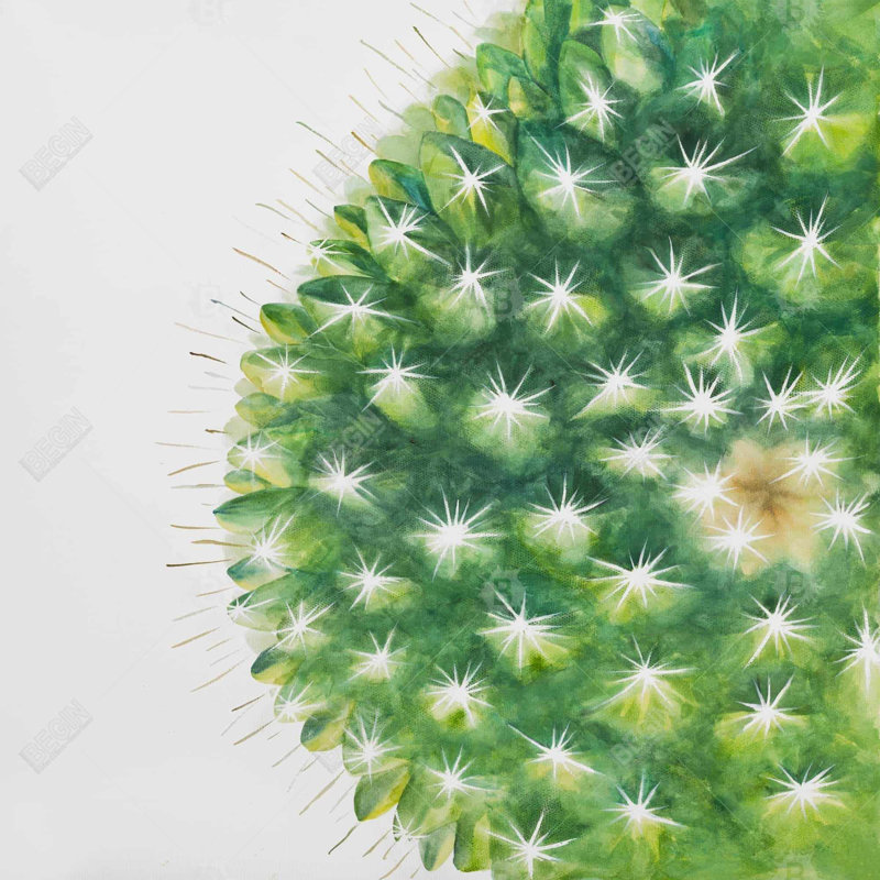Watercolor mini cactus - 20"x20" Throw pillow - Poly twill - Print on demand