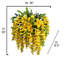 Tiges de glycine-22209362