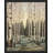 " Black And White Birch Trees "-98266355-98266360