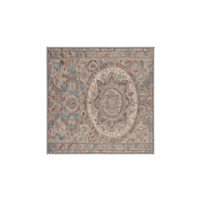 Machine Washable Gray Area Rug GSIX03714