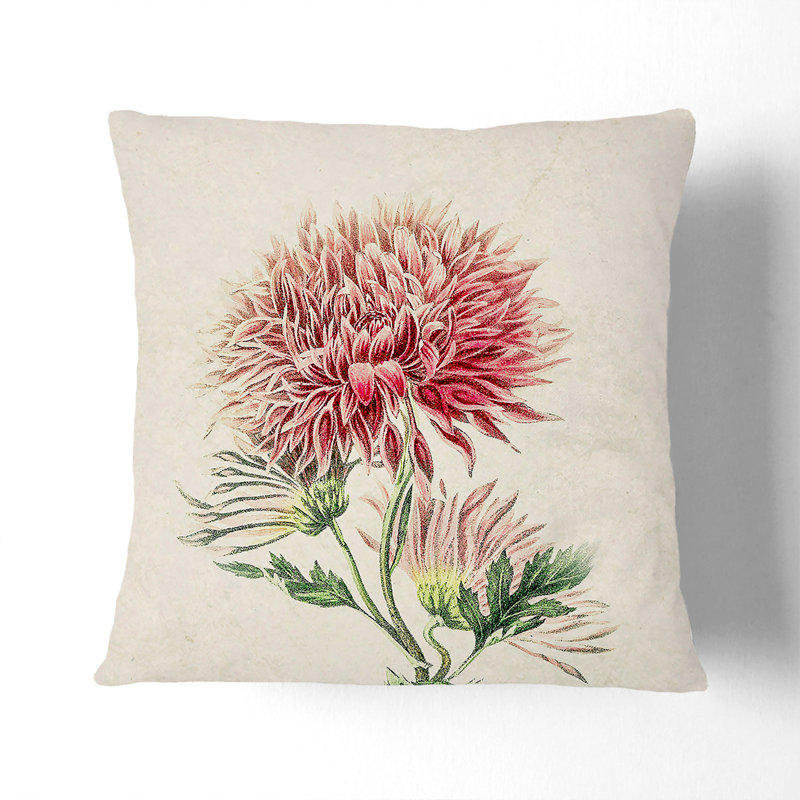 Illustration of Pink Chrysanthemums Cushion with Filling, Black, 40cm H x 40cm W x 15cm D