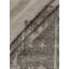 Abstract Area Rug in Ivory