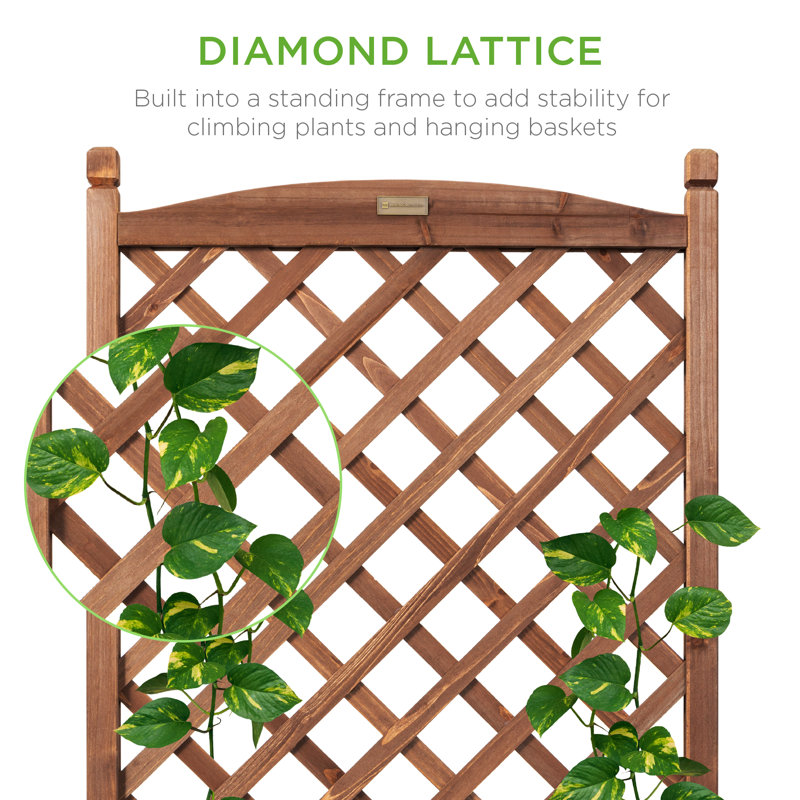 Set of 2 Walnut Fir Wood Planter Box with Trellis
