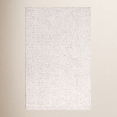 Flavi Light Gray Ivory Hand-Woven Rug
